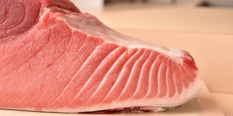 お任せ特上握りコース【飲み放題付き】＜90分L.O.＞