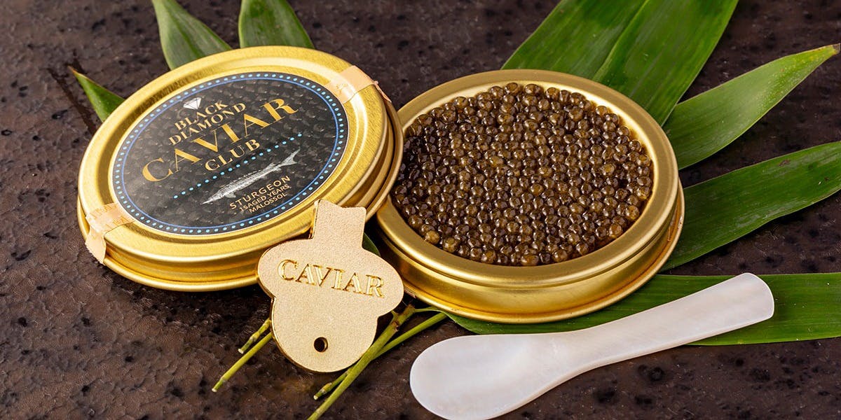 寿司 銀座（スシ ギンザ【旧店名】すし縁）