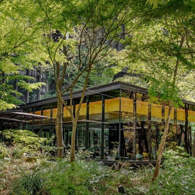 都会のオアシスとして再生された森で、寛ぎのひとときを