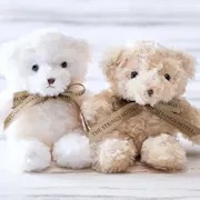 ベア