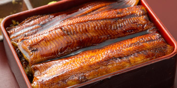 銀座 玉ゐ たまい 銀座 あなご料理 一休 Comレストラン 銀座 玉ゐ たまい 銀座 あなご料理 一休 Comレストラン