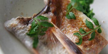 割烹家 一本松 - 画像12