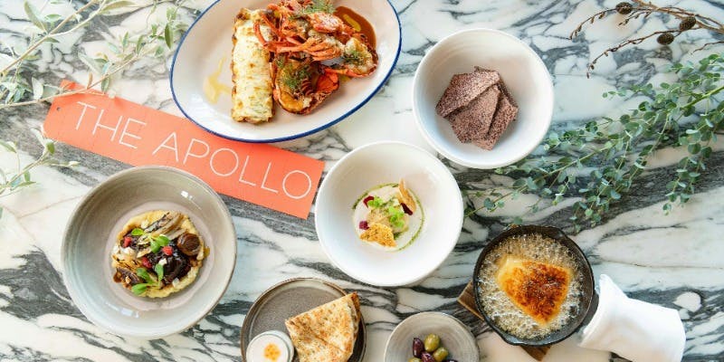 Xmas 2025 クリスマス限定コース 牛ホホ肉煮込みやオマール海老など全8皿（窓側テーブル席 2部制）