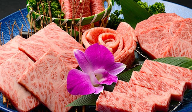 ディナー 焼肉コギチャン ヤキニクコギチャン 新栄町 焼肉 ステーキ グリル 一休 Comレストラン