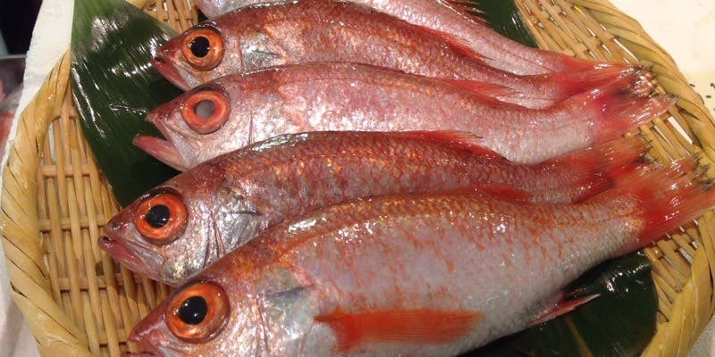 割烹 龍馬 - 画像11