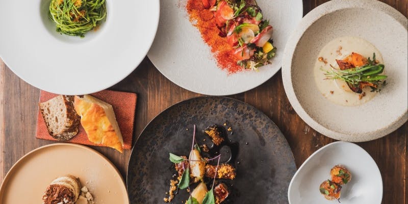 【忘年会コース ライト ・ 飲み放題付き】前菜、パスタ、メインなど全6品