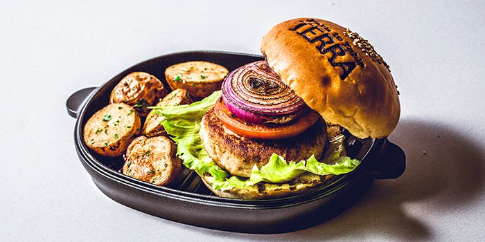 Farm to Table TERRA（【旧店名】シンフォニー）