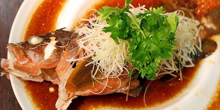 外苑前の餃子が楽しめるおすすめレストラントップ2 一休 Comレストラン 外苑前の餃子が楽しめるおすすめレストラントップ2 一休 Comレストラン