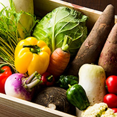 有機野菜にこだわる“体にやさしいイタリアン”