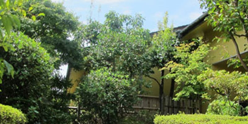 【千屋牛ステーキ懐石】 小鉢、メイン、煮物など全7品