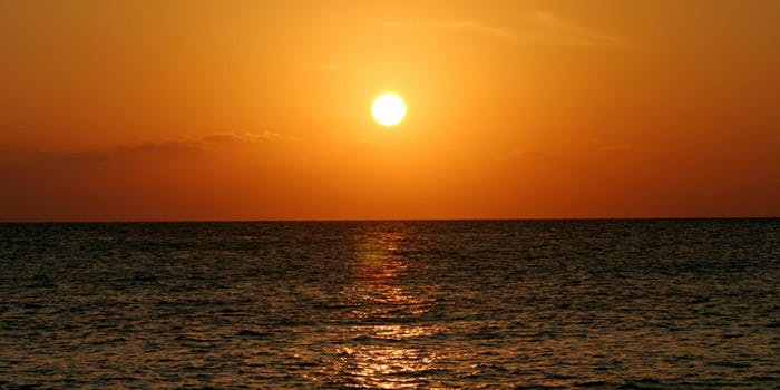 ベイクルーズ・宮古島 モンブラン - 画像8