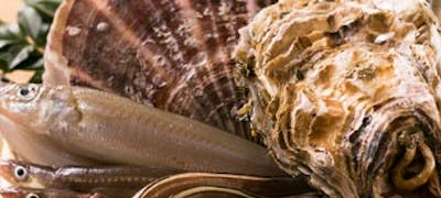 21年 最新 飯田橋駅周辺の美味しいディナー24店 夜ご飯におすすめな人気店 一休 Comレストラン 21年 最新 飯田橋駅周辺の美味しいディナー24店 夜ご飯におすすめな人気店 一休 Comレストラン