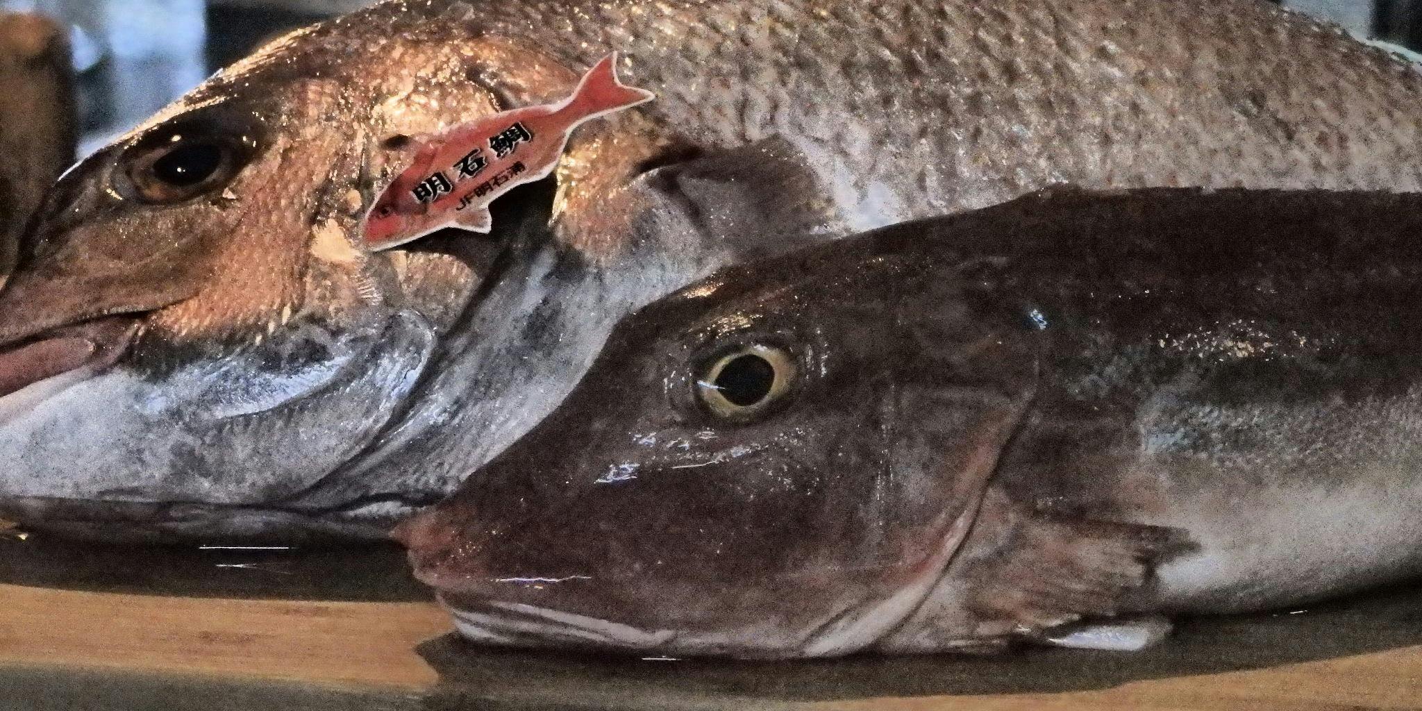 FOND（フォン【旧店名】いしはら）