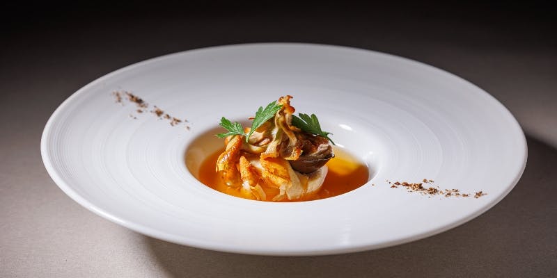 【Xmas2025】大阪城イルミナージュ入場券付きクリスマスディナー（12月）