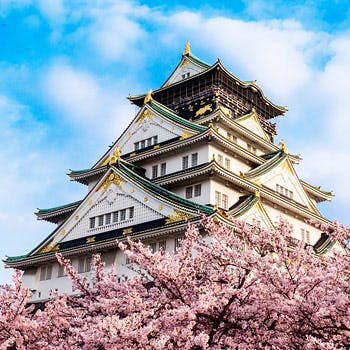 ���鐼�̊ے뉀 ���}�o��