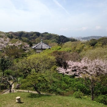 西鎌倉駅周辺の美味しいランチ27店 おしゃれ人気店 絶品ランチグルメ 21年 一休 Comレストラン