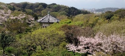 西鎌倉駅周辺の美味しいランチ27店 おしゃれ人気店 絶品ランチグルメ 21年 一休 Comレストラン 西鎌倉駅周辺の美味しいランチ27店 おしゃれ人気店 絶品ランチグルメ 21年 一休 Comレストラン