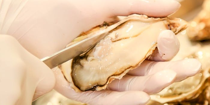 梅田のランチで合コンにおすすめレストラン4選 一休 Comレストラン