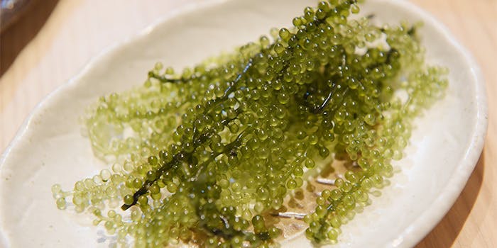 北新地しちろう