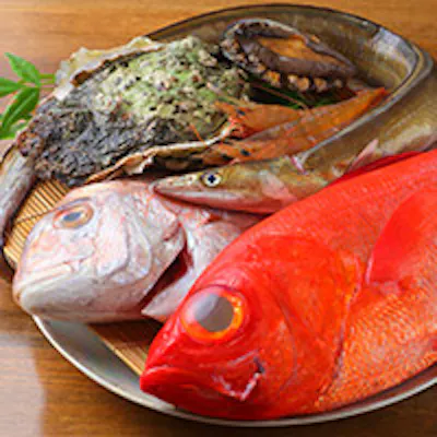 瀬戸内海の豊かな海の幸を味わう、旬の海鮮料理