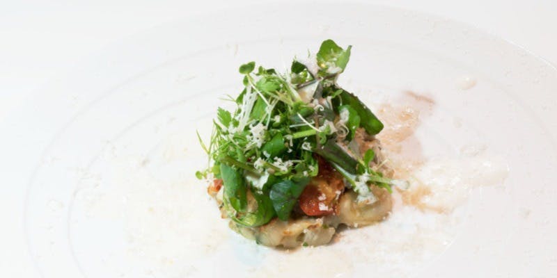 ノガラッツァ - 画像15