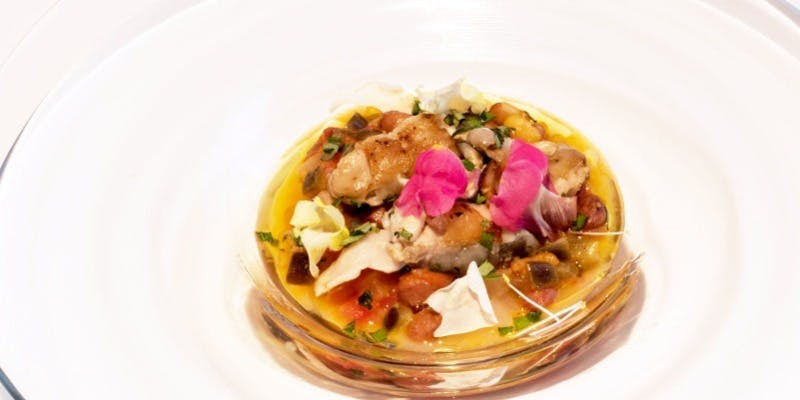 ノガラッツァ - 画像13