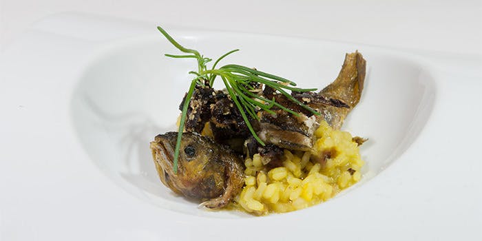 ノガラッツァ - 画像7