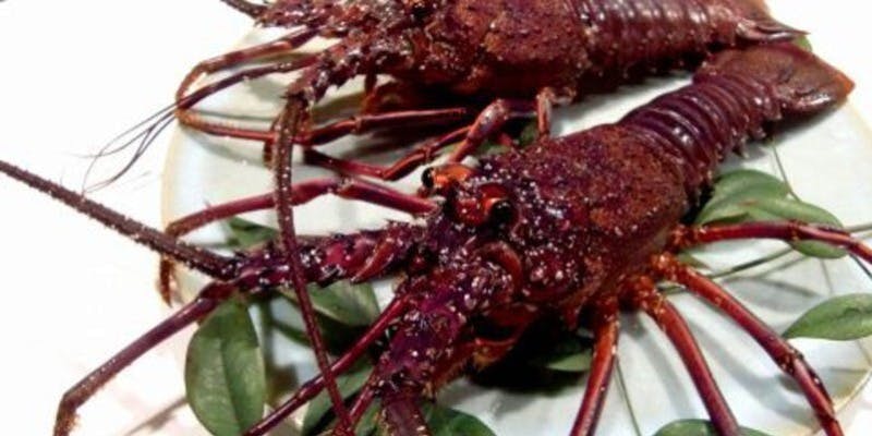 【伊勢海老と黒毛和牛ステーキコース】黒毛和牛と伊勢海老を堪能できる贅沢なコース