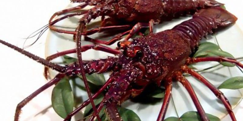 ステーキ割烹 北山 渋谷 - 画像7