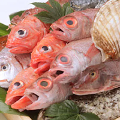 季節の美味しい野菜や新鮮な魚介など、厳選された食材を炉端焼きで