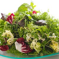 日本全国から集まったこだわりの食材の数々