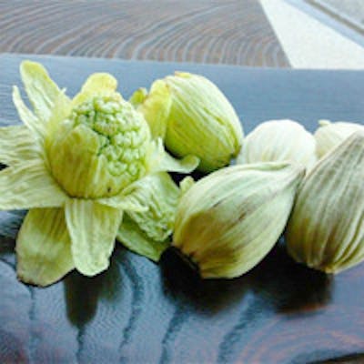 揚げたてを噛めばひろがる熱々の旬の味