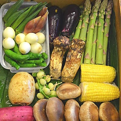 こだわりの季節感あふれる食材