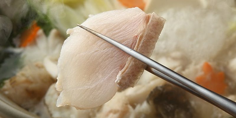 冬季限定【天然クエ鍋コース】