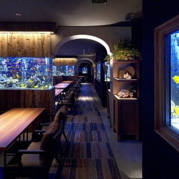 21年 最新 四ツ橋駅周辺の美味しいディナー23店 夜ご飯におすすめな人気店 一休 Comレストラン