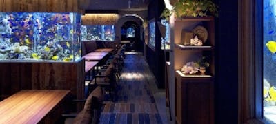 21年 最新 心斎橋の美味しいディナー30店 夜ご飯におすすめな人気店 一休 Comレストラン 21年 最新 心斎橋の美味しいディナー30店 夜ご飯におすすめな人気店 一休 Comレストラン