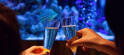 21年 最新 大阪難波駅周辺の美味しいディナー23店 夜ご飯におすすめな人気店 一休 Comレストラン 21年 最新 大阪難波駅周辺の美味しいディナー23店 夜ご飯におすすめな人気店 一休 Comレストラン
