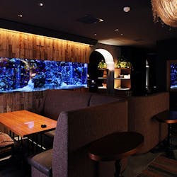 アクアリウムイタリアン心斎橋ライム クロスホテル大阪 ダイニングバー イタリアン 一休 Comレストラン アクアリウムイタリアン心斎橋ライム クロスホテル大阪 ダイニングバー イタリアン 一休 Comレストラン