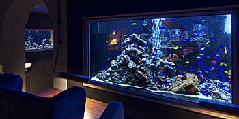 アクアリウム 魚イタリアン ライム心斎橋 クロスホテル大阪 ダイニングバー イタリアン 一休 Comレストラン