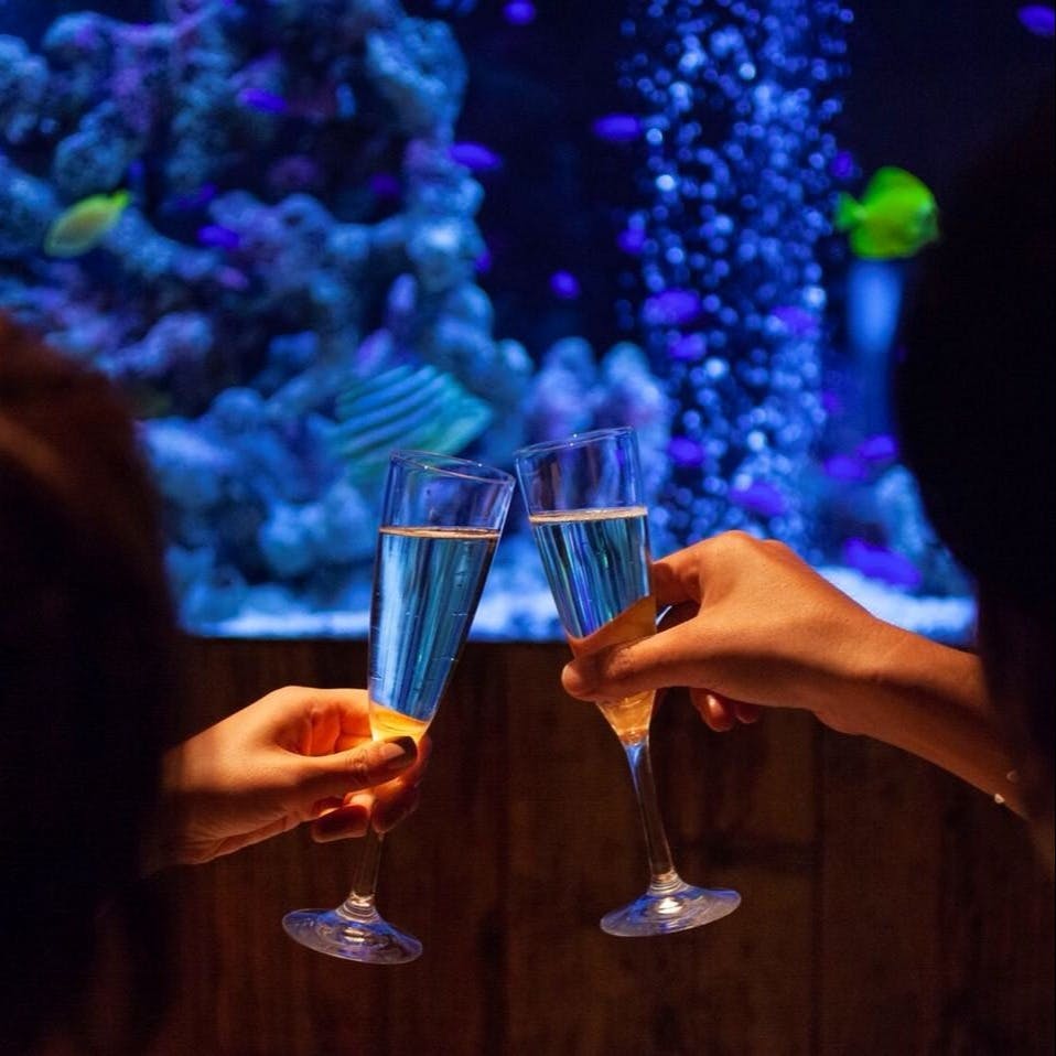 アクアリウム 魚イタリアン ライム心斎橋 Xmas 忘れられないひとときを アクアリウムクリスマスディナー ディナー プラン メニュー 一休 Comレストラン アクアリウム 魚イタリアン ライム心斎橋 Xmas 忘れられないひとときを アクアリウムクリスマスディナー ディナー プラン メニュー 一休 Comレストラン
