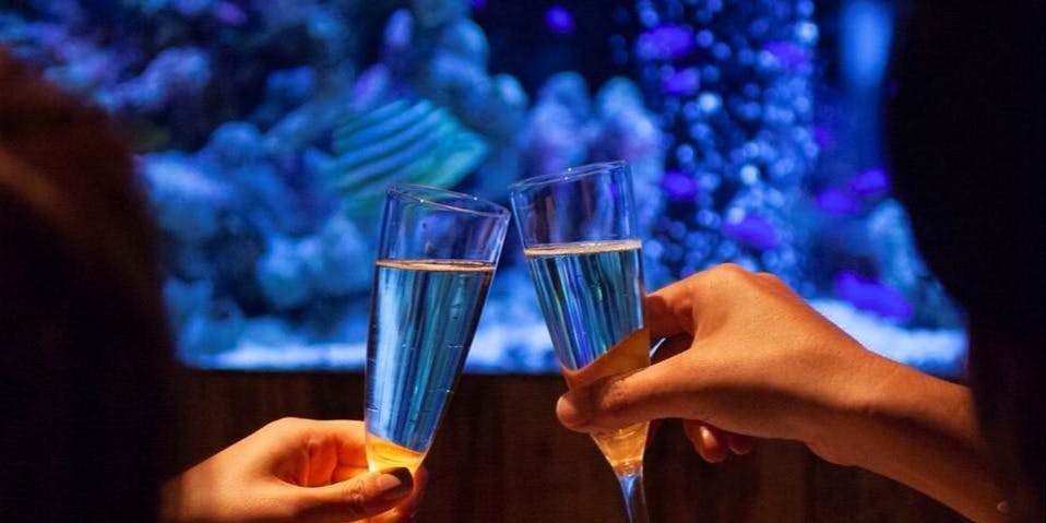 ディナー アクアリウム 魚イタリアン ライム心斎橋 クロスホテル大阪 ダイニングバー イタリアン 一休 Comレストラン ディナー アクアリウム 魚イタリアン ライム心斎橋 クロスホテル大阪 ダイニングバー イタリアン 一休 Comレストラン