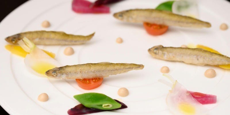 「シャルマン」旬魚のポワレとオードブル、スープ、デザートなど全6品（1/7～2/28）