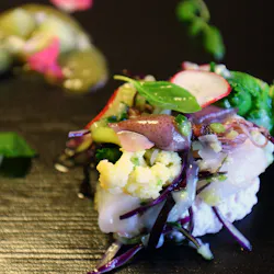 llbbahc Tzm llbbahc Tzm