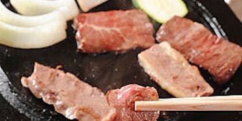【ひだりうまコース】阿蘇溶岩焼など、馬刺し6種など全7品 - 桜肉料理 馬春楼 銀座本店