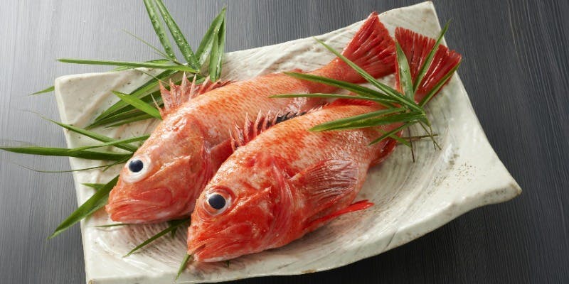 【釣りきんきコース】舟形マッシュルームと山形牛ローストビーフ、釣りきんき、いも煮など全7品