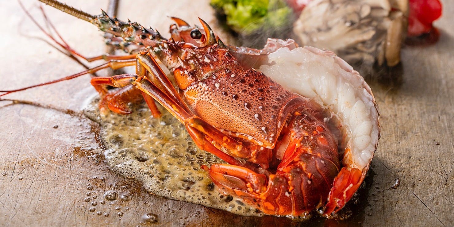 鉄板焼 天 本丸（てっぱんやき てん ほんまる）