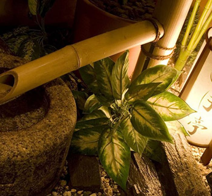 淵野辺駅周辺ディナー 30件 おしゃれ人気店 絶品ディナーグルメ 21年 一休 Comレストラン 淵野辺駅周辺ディナー 30件 おしゃれ人気店 絶品ディナーグルメ 21年 一休 Comレストラン