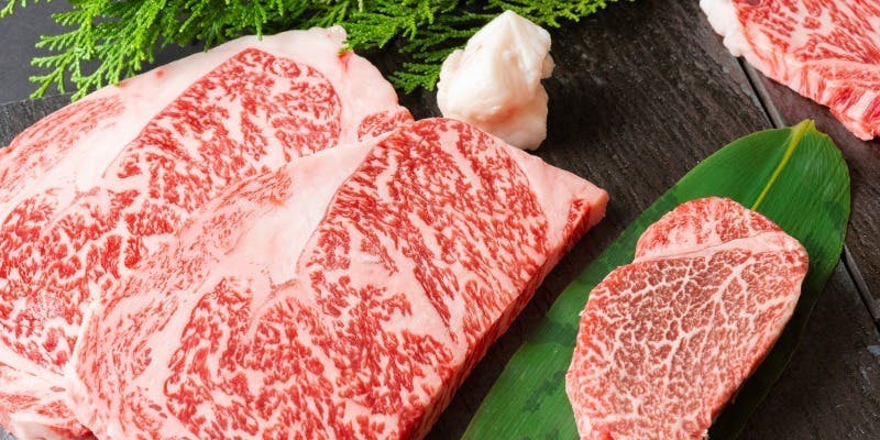 日本名牛の旅　極上銘柄牛コース＋シェフ厳選の産地食材を取り入れた豪華料理の饗宴