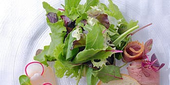 Herba Mondo ヘルバ モンド 恵比寿 イタリア料理 一休 Comレストラン Herba Mondo ヘルバ モンド 恵比寿 イタリア料理 一休 Comレストラン