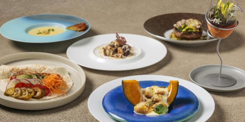 【NATURE DELIGHT】ヴィーガンディナーコース　全6品